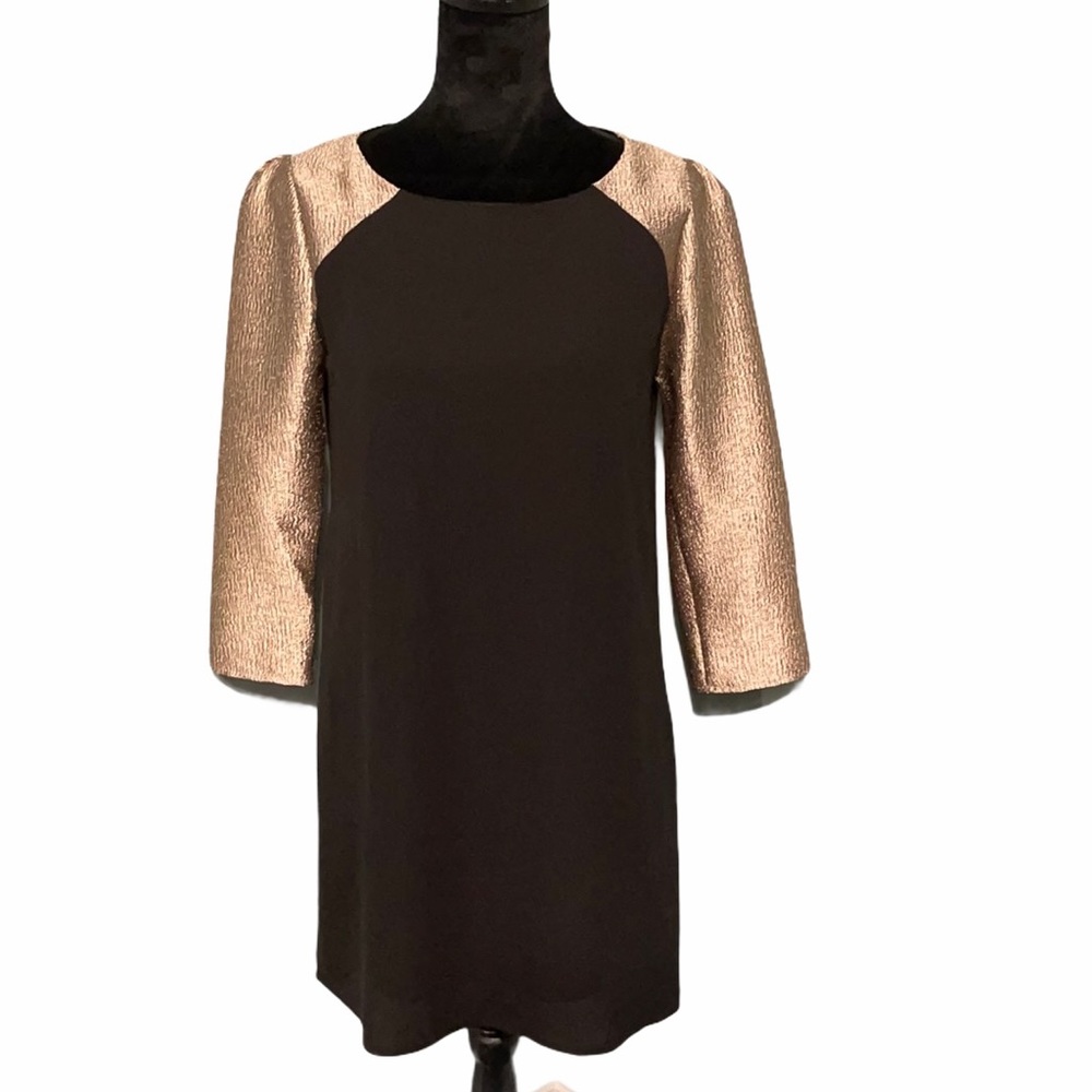 Black and Gold Sleeve Dress